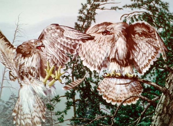 Монголын урлаг сонирхогчид бар зургийн үзэсгэлэнг дэлгэнэ